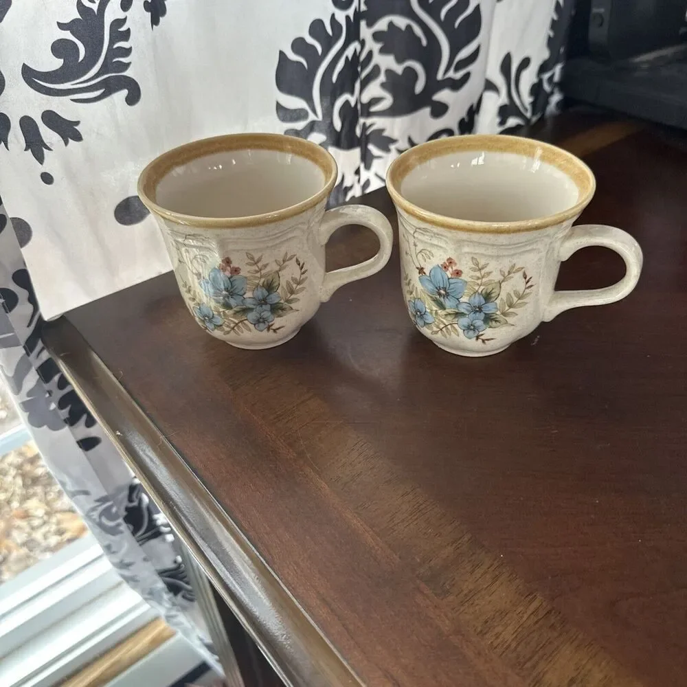 Mikasa Garden Club Day Dreams Bouquet Set of Two Mugs EC 461 Japan